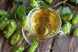 Hop Malt Market | Tea,Beer - Rated 4.7