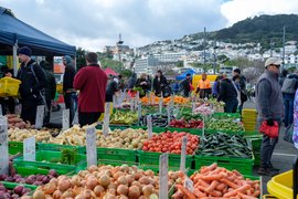 Harbourside Market in New Zealand, Wellington | Groceries,Herbs,Fruit & Vegetable,Organic Food - Rated 4.6