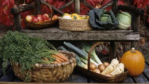Harvest Natural Foods in United Kingdom, South West England | Organic Food - Country Helper