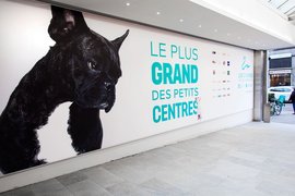 Les Cygnes Centre Commercial in Switzerland, Canton of Geneva | Shoes,Clothes,Handbags,Sportswear,Fragrance - Country Helper