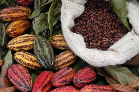 Maya Cacao Chocolateria in Guatemala, Sacatepequez Department | Sweets - Country Helper