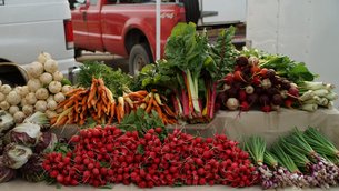 Mill City Farmers Market in USA, Minnesota | Dairy,Fruit & Vegetable,Organic Food - Country Helper