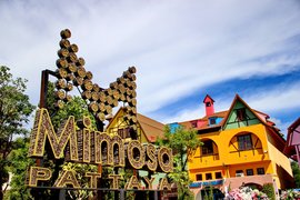 Mimosa in Thailand, Eastern Thailand | Shoes,Clothes,Sportswear,Natural Beauty Products,Accessories - Country Helper