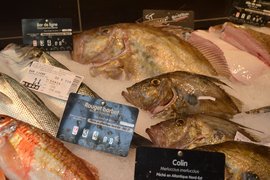 Poissonnerie Ebisu in France, Ile-de-France | Seafood - Country Helper