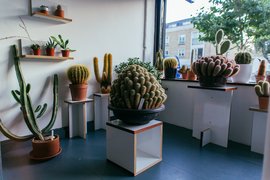 Prick | Home Decor - Rated 4.3