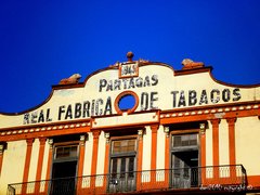 Real Tobacco Factory Split in Cuba, La Habana | Tobacco Products - Country Helper