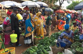 Sabasaba Market in Tanzania, Dodoma Region | Groceries,Herbs,Fruit & Vegetable,Organic Food,Spices - Country Helper