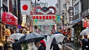 Sugamo Jizodori Shopping Street in Japan, Kanto | Souvenirs,Gifts,Art,Home Decor,Accessories - Country Helper