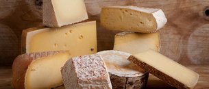 The Cheese Shop | Dairy - Rated 4.5