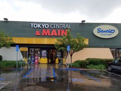 Tokyo Central & Main in USA, California | Accessories - Country Helper
