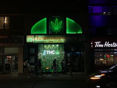 Toronto Hemp Company in Canada, Ontario | Cannabis Products - Country Helper