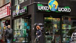 Weed World in USA, New York | Cannabis Products - Country Helper