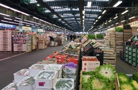 Wholesale Market in Qatar, Ad-Dawhah | Groceries,Herbs,Dairy,Fruit & Vegetable,Organic Food - Country Helper