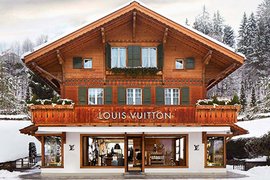 Louis Vuitton in France, Auvergne-Rhone-Alpes | Clothes,Handbags - Country Helper