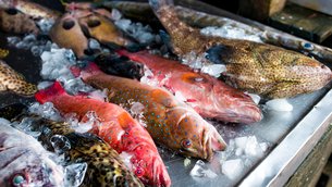 Tunas Pescheria & Bistrot | Seafood - Rated 4.5